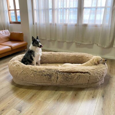 large orthopedic human dog bed