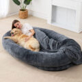 large orthopedic human dog bed