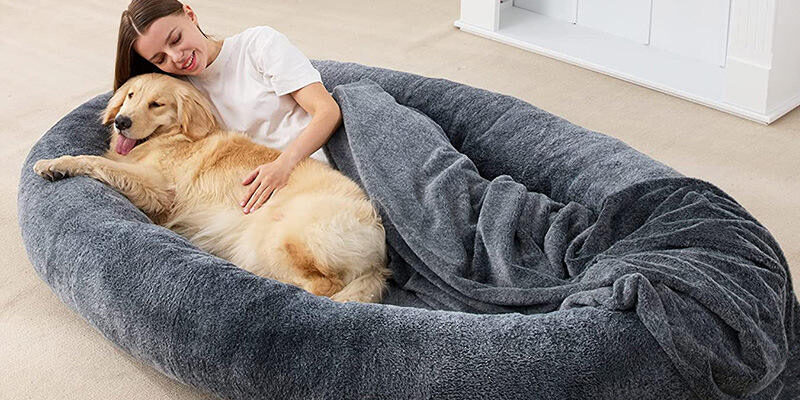 large orthopedic human dog bed