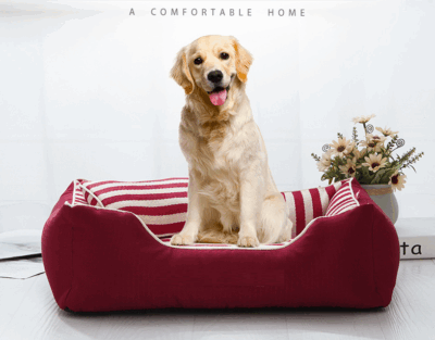 rthopedic bolster dog bed manufacturer